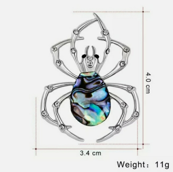 Abalone Spider Brooch - Picture 2 of 4